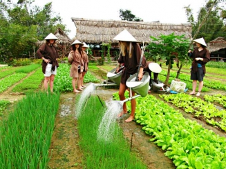 Nét đồng quê ở làng rau Trà Quế Hội An